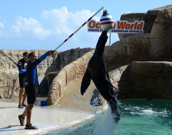Ocean World Adventure Park
